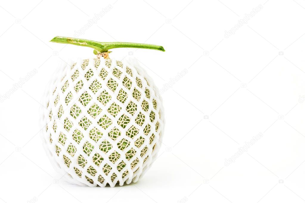 Melon or Cantaloupe fruit in foam mesh for shockproof in transpo