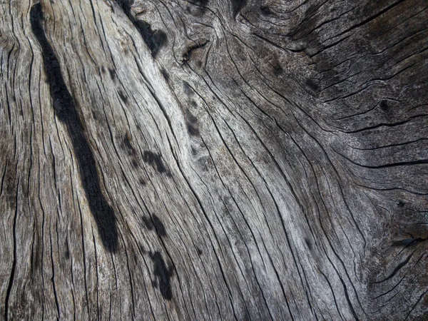 表面被时间侵蚀 老木背景 — 图库照片