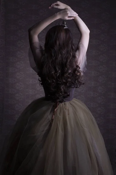 茶色のチュールとベルベットのドレスの妖精のプリンセス — ストック写真
