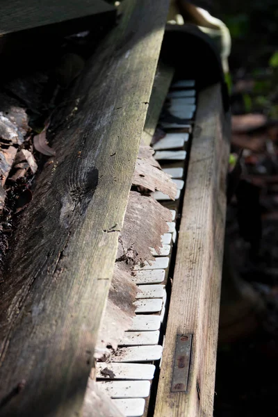 Piano Abandonado Jardim Outono — Fotografia de Stock