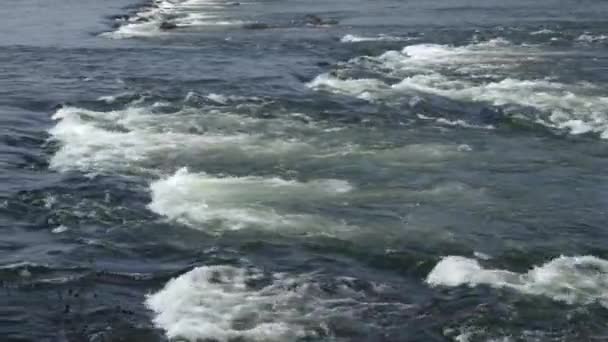 Uno Sfondo Acqua Che Scorre Sulle Rocce Nel Fiume Susquehanna — Video Stock