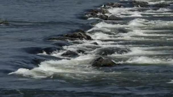 Uno Sfondo Acqua Che Scorre Sulle Rocce Nel Fiume Susquehanna — Video Stock