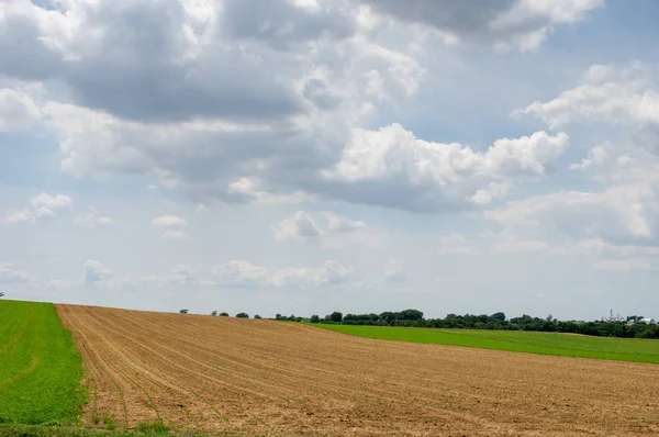 Een Cornfield Dat Heeft Net Geplant Landelijk Amerika — Stockfoto