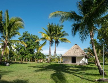 Guatemala palmiye ağaçlarıyla çevrili kırsal bir thatched çatı evde.