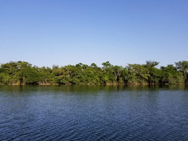 Güzel Mavi Gökyüzü Nehri Kıyı Üzerinde Yeşil Ağaçlar Ile — Stok fotoğraf