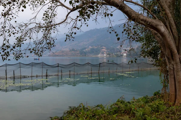 Algunas Redes Pesca Lago Con Las Estribaciones Del Himalaya Fondo — Foto de Stock
