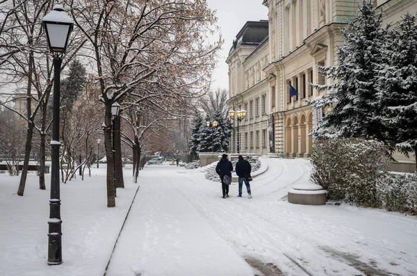 Snow in the city covering everything and creating a beautiful sight.