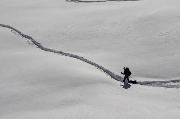 People Trekking in the Snow