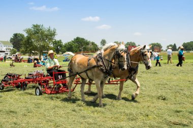 At saman komisyon çekti