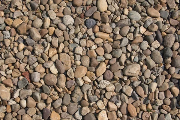 River Stones Background — Stock Photo, Image