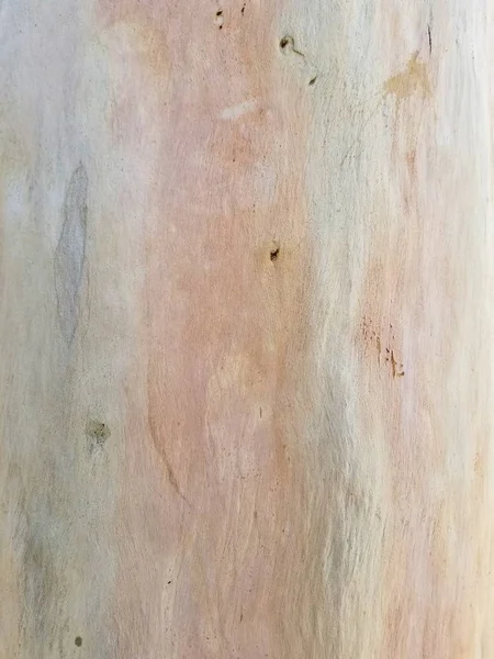 Textura de fondo de grano de madera — Foto de Stock