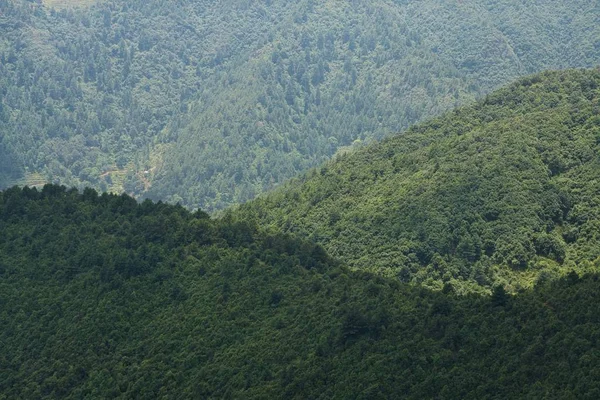 Ağaçlarla Kaplı Katmanlı Tepeler