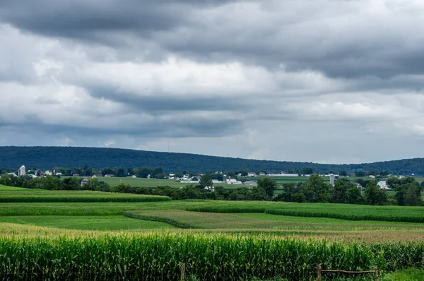 Summertime bölgesindeki tarım bölgeleri