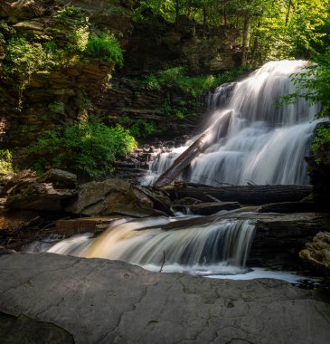 Şelaleler günlükleri