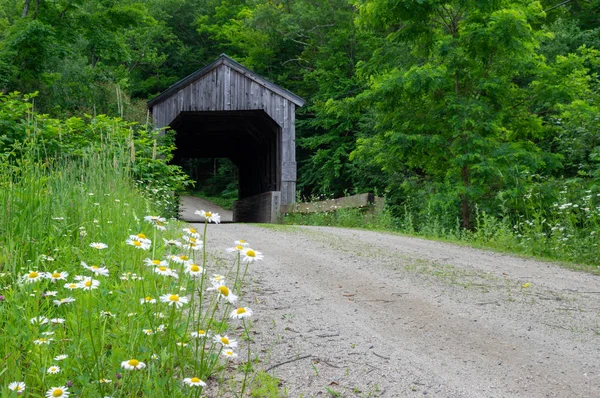 Arka Yol Kaplı Köprü
