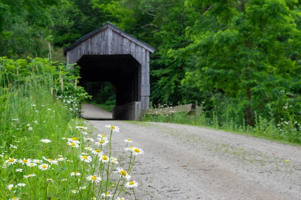 Arka Yol Kaplı Köprü