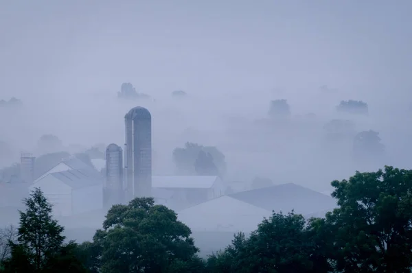 Nebelige Morgenlandschaft — Stockfoto