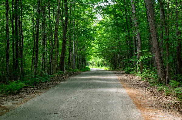 Carretera rural — Foto de Stock