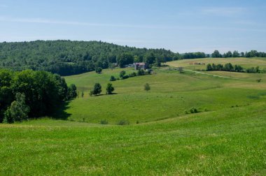 Vermont'un Rolling Tepeleri