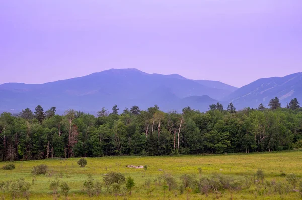 Alpine Pasture — Stock Photo, Image