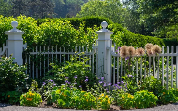Pickett recinzione giardino fiorito — Foto Stock