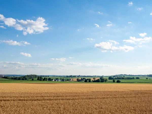 Rolling Farmland Kırsal — Stok fotoğraf