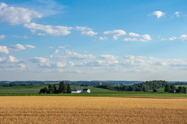 Campo agrícola em movimento — Fotografia de Stock