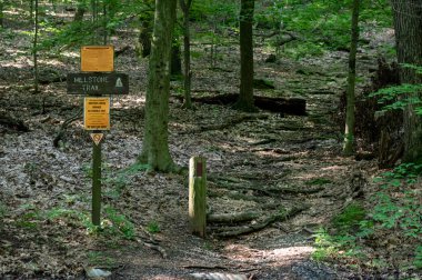 Trailhead İşaretleyiciler