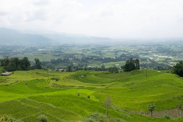Terraced Rice Fields on a Hillside — Stock Photo, Image