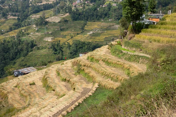 Terraced Hillsides of Nepal — Stock Photo, Image