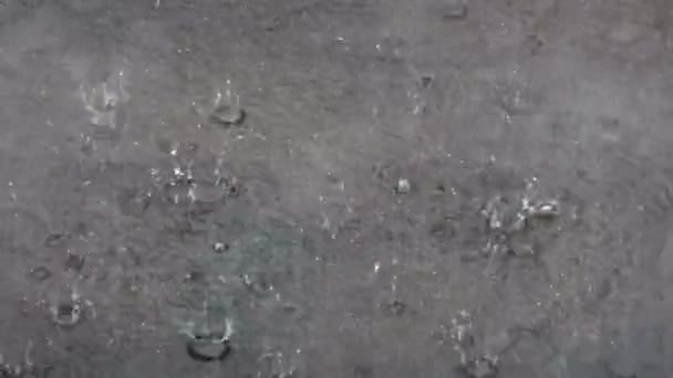 Gotas Chuva Salpicando Uma Poça Durante Uma Tempestade Torrencial Temporada — Vídeo de Stock