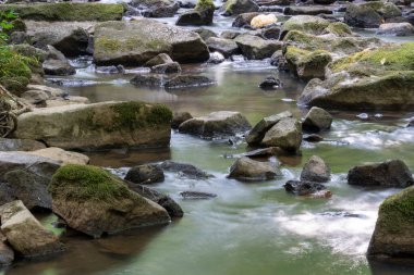 Suyun ipek gibi pürüzsüz bir şekilde bulanıklaşmasına neden olan uzun bir dere ihracatı.