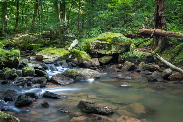 Suyun ipek gibi pürüzsüz bir şekilde bulanıklaşmasına neden olan uzun bir dere ihracatı.