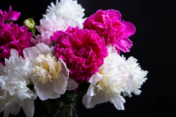 Bouquet of peonies with water drops. Black background. Close-up, selective focus.