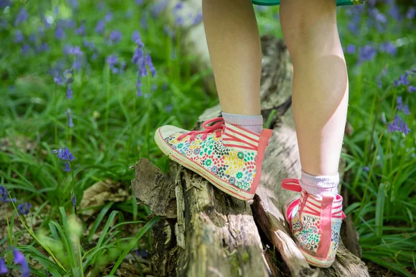 günlük Bluebell ormanda oynamaya