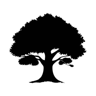  Şeffaf arkaplanda en az ağaç vektörü silueti izole edildi