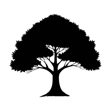  Şeffaf arkaplanda en az ağaç vektörü silueti izole edildi