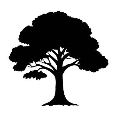  Şeffaf arkaplanda en az ağaç vektörü silueti izole edildi