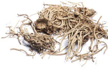 Kediotu kökü üzerinde beyaz izole.