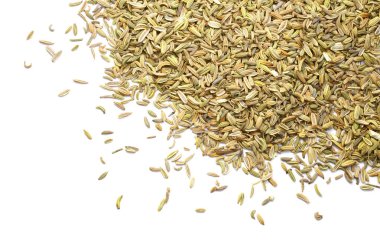 Beyaz izole rezene tohumu