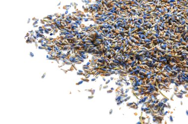 Kuru lavanta çiçekleri beyaz izole