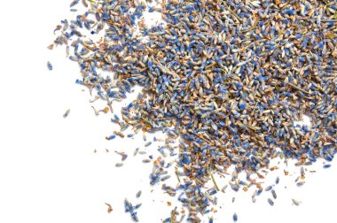 Kuru lavanta çiçekleri beyaz izole