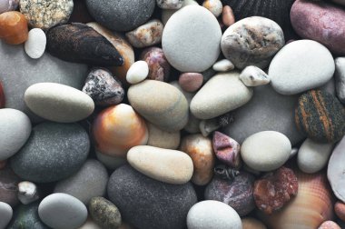 Taşlar ve deniz kabuklarını arka plan.