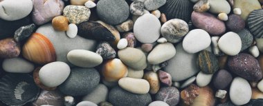 Taşlar ve deniz kabuklarını arka plan. Panorama.