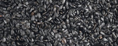 Kızarmış siyah ayçiçeği çekirdeği. Arka plan, doku, panorama.