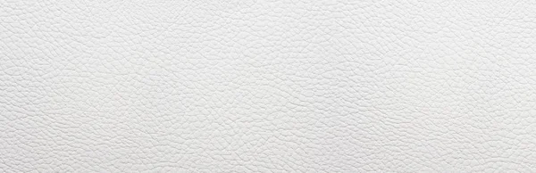 Fond Cuir Blanc Panorama — Photo