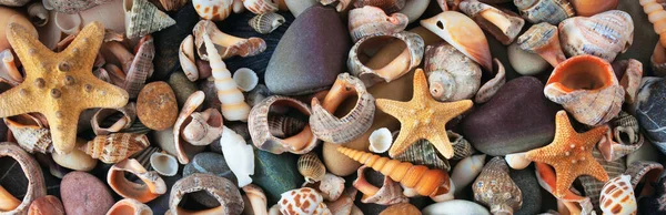 Hintergrund Und Struktur Von Muscheln Und Steinen Panorama Banner — Stockfoto