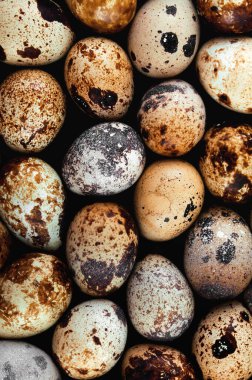 Bıldırcın yumurtaları arka plan ve doku yığınları.