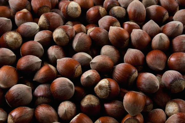 Hazelnuts Shell Background Texture — Stock Photo, Image