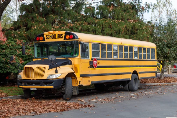 North American School Bus — Zdjęcie stockowe